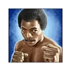 icon 2