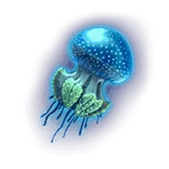 icon 2
