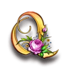 icon 10