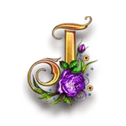 icon 11