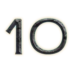 icon 10