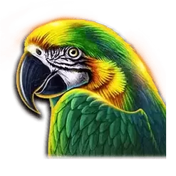 icon 3
