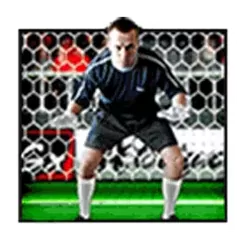 icon 3