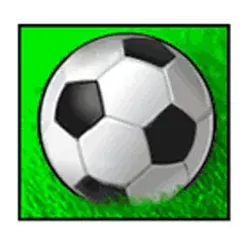 icon 5
