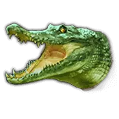 icon 5