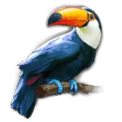 icon 6