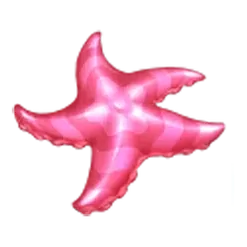 icon 5