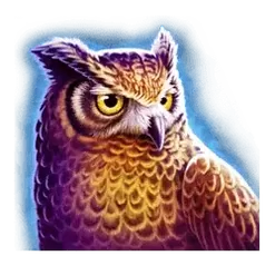 icon 2