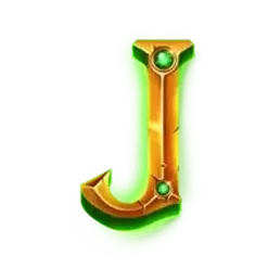 icon 9