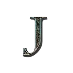 icon 9