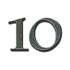 icon 10