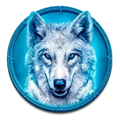 icon 4