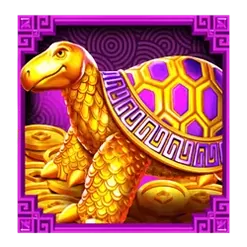 icon 5