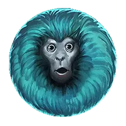 icon 4