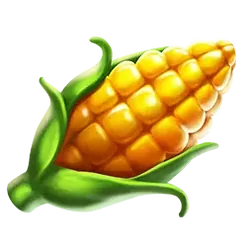 icon 4