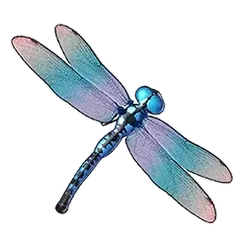 icon 3