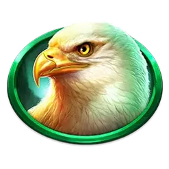 icon 4