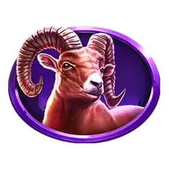 icon 5