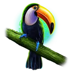 icon 4