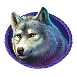 icon 4