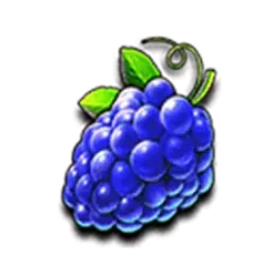 icon 5