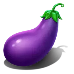 icon 6