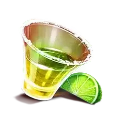 icon 4