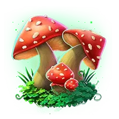 icon 4
