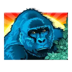 icon 1