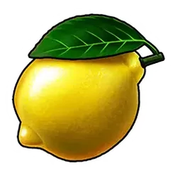 icon 6