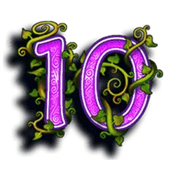 icon 10