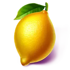 icon 9