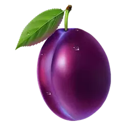 icon 5