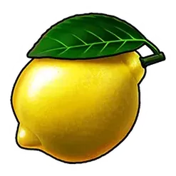 icon 5