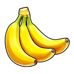 icon 6