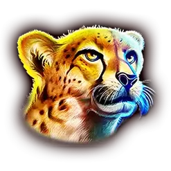 icon 3