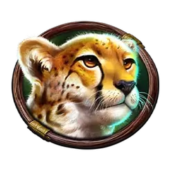 icon 3
