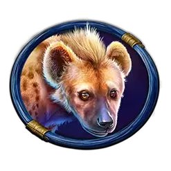 icon 6