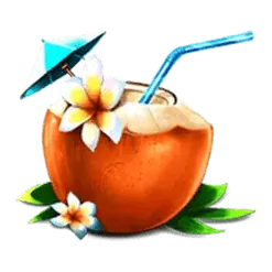 icon 4
