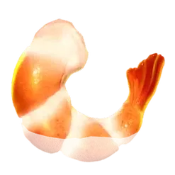 icon 5