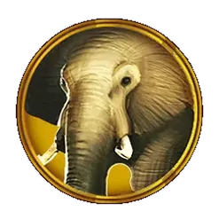 icon 2