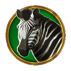 icon 4
