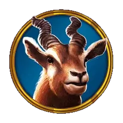 icon 5