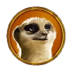 icon 6