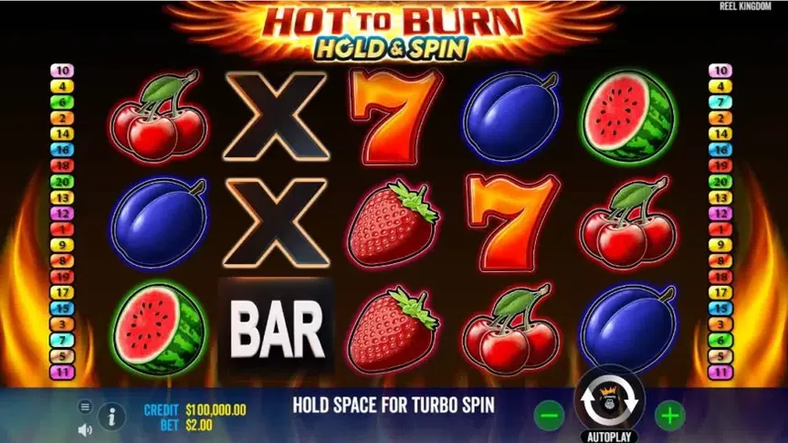 Hot to Burn Hold and Spin slot screenshot 1