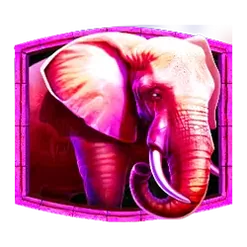 icon 4