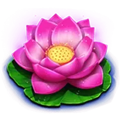 icon 2