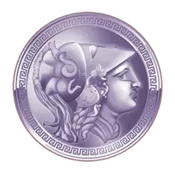 icon 13