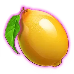 icon 6