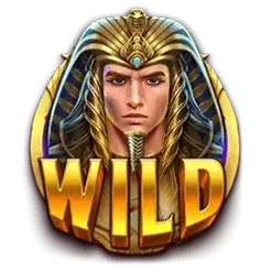 icon 1